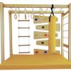 Activity Gym – Indoor/Outdoor Wooden Climber