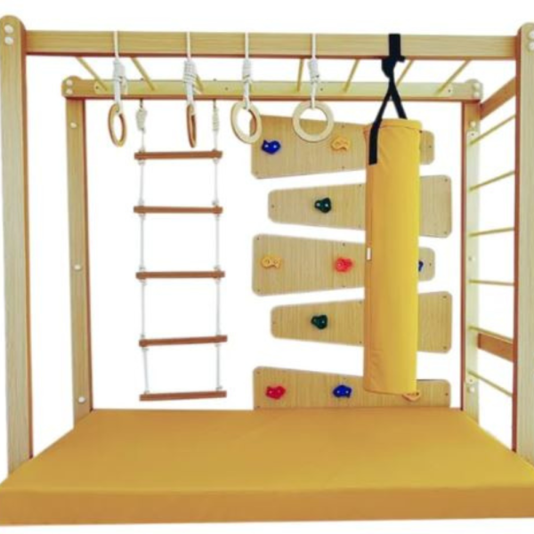 Activity Gym – Indoor/Outdoor Wooden Climber